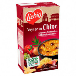 LOT DE 5 - LIEBIG - Soupe À La Chinoise 7 Legumes Vermicelles - brique de 1 l
