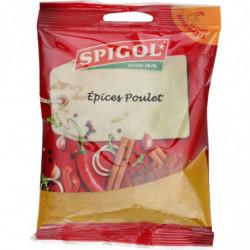 LOT DE 3 - SPIGOL - Epices Poulet - Mélange d'épices - sachet de 90 g