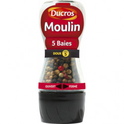 LOT DE 5 - DUCROS -  Moulin...