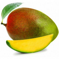 LOT DE 2 - Mangue Israelienne