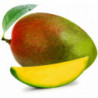 LOT DE 6 - Mangue Israelienne