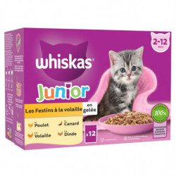 LOT DE 6 - WHISKAS - Junior Les Festins à la volaille en Gelée Pâtée pour chat - boite de 12 sachets de 85 g