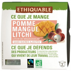 LOT DE 5 - ETHIQUABLE - Compote Pomme Mangue Litchi Sans Sucre Ajouté Bio - paquet de 4 pots de 100 g