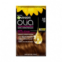 LOT DE 2 - GARNIER OLIA - Coloration permanente Châtain clair doré 5.3
